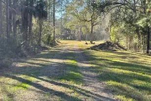 10379 NE Hwy 314, Silver Springs, FL 34488 - Photo 6