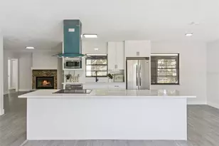 2533 Oak Run Blvd, Kissimmee, FL 34744 - Photo 8