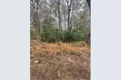 519 Ward Avenue, Brooksville, FL 34601 - Photo 2