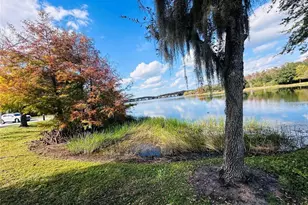 10801 Spider Lily Dr, Orlando, FL 32832 - Photo 38