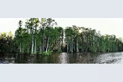 2014 Bates Avenue, Eustis, FL 32726 - Photo 38