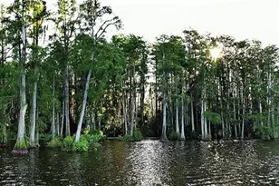 2014 Bates Ave, Eustis, FL 32726 - Photo 38