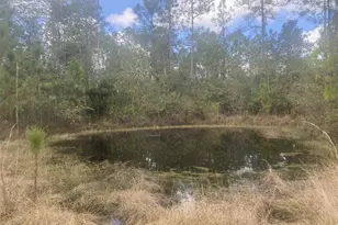 1720 Cassidy Dr, Saint Cloud, FL 34771 - Photo 38