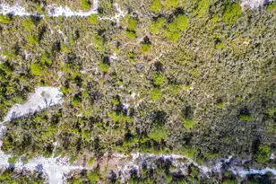 4000 Lomonico Rd, Sebring, FL 33875 - Photo 26