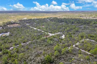 4000 Lomonico Rd, Sebring, FL 33875 - Photo 16