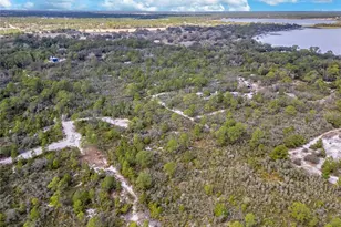 4000 Lomonico Rd, Sebring, FL 33875 - Photo 20