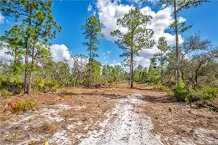 4000 Lomonico Rd, Sebring, FL 33875 - Photo 4