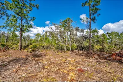 4000 Lomonico Road, Sebring, FL 33875 - Photo 6