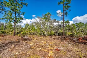 4000 Lomonico Rd, Sebring, FL 33875 - Photo 6