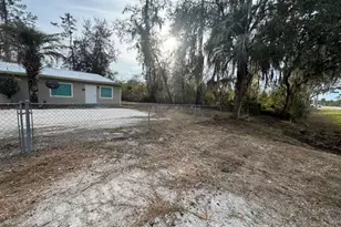 211 NW Hwy 441, Micanopy, FL 32667 - Photo 4
