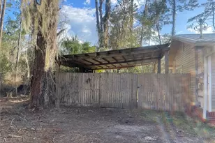 211 NW Hwy 441, Micanopy, FL 32667 - Photo 26