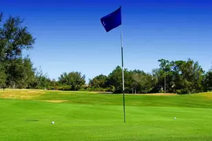 2435 Palm Tree Dr, Poinciana, FL 34759 - Photo 34