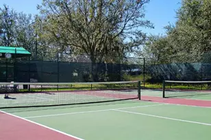 2435 Palm Tree Dr, Poinciana, FL 34759 - Photo 30