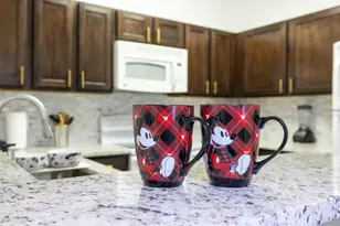 3176 Feltrim Pl, Kissimmee, FL 34747 - Photo 8