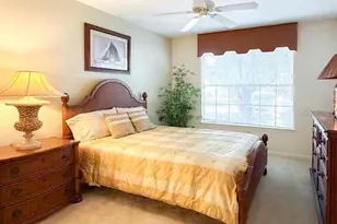 12843 Madison Pointe Cir, Orlando, FL 32821 - Photo 12