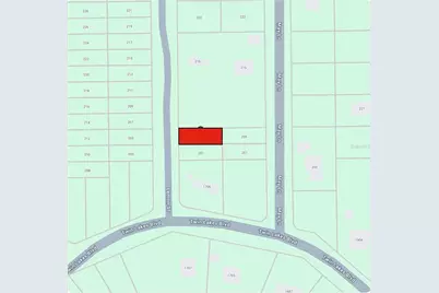 202 Lemon Street, Interlachen, FL 32148 - Photo 2