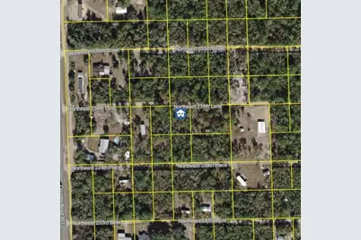15350 NE 234th Lane, Fort Mc Coy, FL 32134 - Photo 1