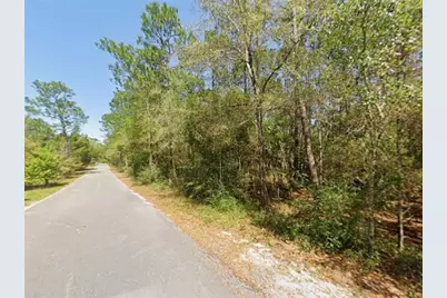 X, Defuniak Springs, FL 32435 - Photo 1