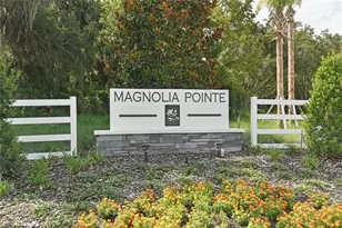 172 Flag Lilly Ln, Umatilla, FL 32784 - Photo 20