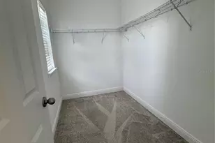 9743 Amber Chestnut Wy, Winter Garden, FL 34787 - Photo 20