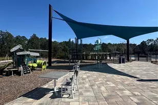 2955 Turnstone Run, Harmony, FL 34773 - Photo 28