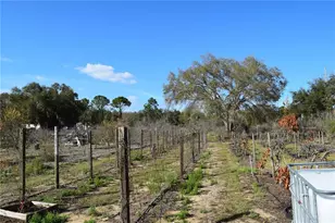 7901 N Cherry Lake Groves Rd, Groveland, FL 34736 - Photo 38