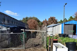 7901 N Cherry Lake Groves Rd, Groveland, FL 34736 - Photo 32