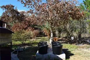 7901 N Cherry Lake Groves Rd, Groveland, FL 34736 - Photo 20