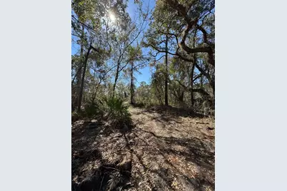 South Shore Dr, Lake Wales, FL 33898 - Photo 16