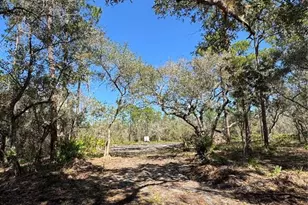 South Shore Dr, Lake Wales, FL 33898 - Photo 1