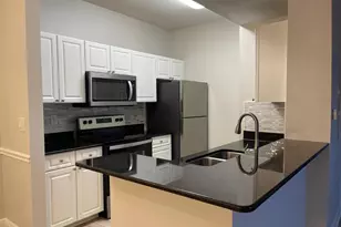 14205 Falls Church Dr, Orlando, FL 32837 - Photo 4