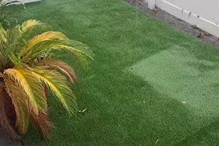 1405 W Rambla St, Tampa, FL 33612 - Photo 2