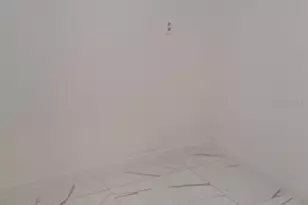 1405 W Rambla St, Tampa, FL 33612 - Photo 6