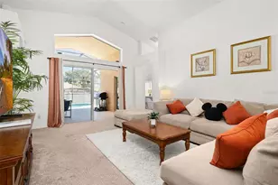 3132 Ibis Hill St, Clermont, FL 34714 - Photo 10