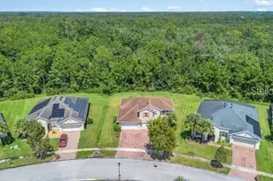 3830 Gulf Shore Cir, Kissimmee, FL 34746 - Photo 2