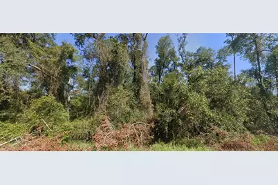 Tbd NW Suwannee Valley Road, Lake City, FL 32055 - Photo 1
