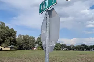 331 Arrowhead Dr, Sebring, FL 33876 - Photo 4