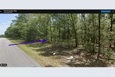 9337 N Jackson Way, Citrus Springs, FL 34434 - Photo 4