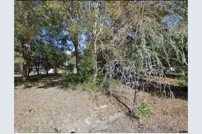 17449 NW 89th Ter, Fanning Springs, FL 32693 - Photo 1