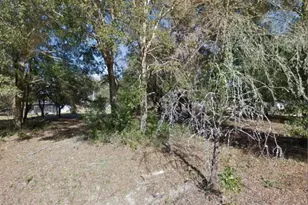 17449 NW 89th Terrace, Fanning Springs, FL 32693 - Photo 1