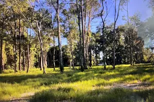 2711 State Road 33, Clermont, FL 34714 - Photo 1