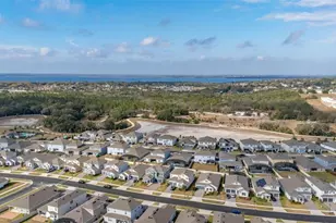 4445 Lions Gate Ave, Clermont, FL 34711 - Photo 66