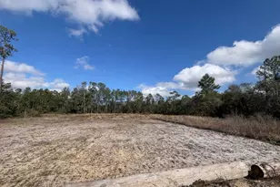 0 Midway Rd, Haines City, FL 33844 - Photo 1