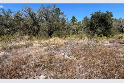 1006 Palm Avenue, Indian Lake Estates, FL 33855 - Photo 6