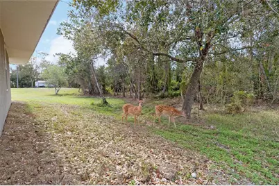 2410 Bar Lou Court, Saint Cloud, FL 34771 - Photo 4