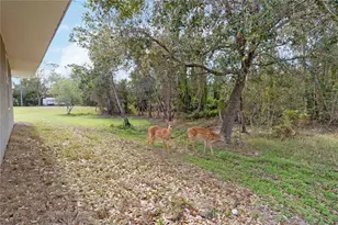 2410 Bar Lou Ct, Saint Cloud, FL 34771 - Photo 4