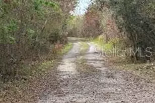 3095 Pastures Rd, Kissimmee, FL 34746 - Photo 24