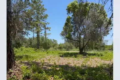 434 Ranchette Road, New Smyrna Beach, FL 32168 - Photo 2