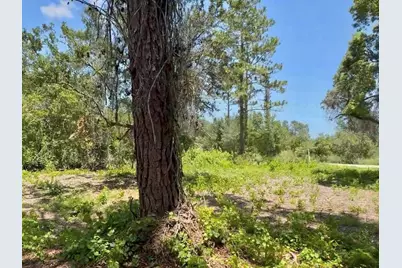 434 Ranchette Road, New Smyrna Beach, FL 32168 - Photo 1