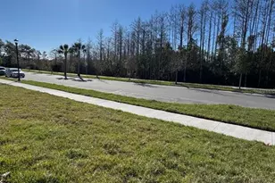 4552 Burrowing Owl Loop, Saint Cloud, FL 34772 - Photo 24